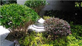 珠海東方墅光導照明應用 珠海東方墅光導照明應用