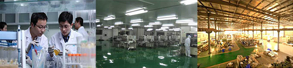 香港正能量，光導照明專業(yè)供應商，8年專注