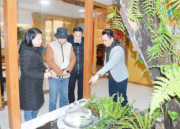 雙模式無(wú)電照明系統(tǒng)